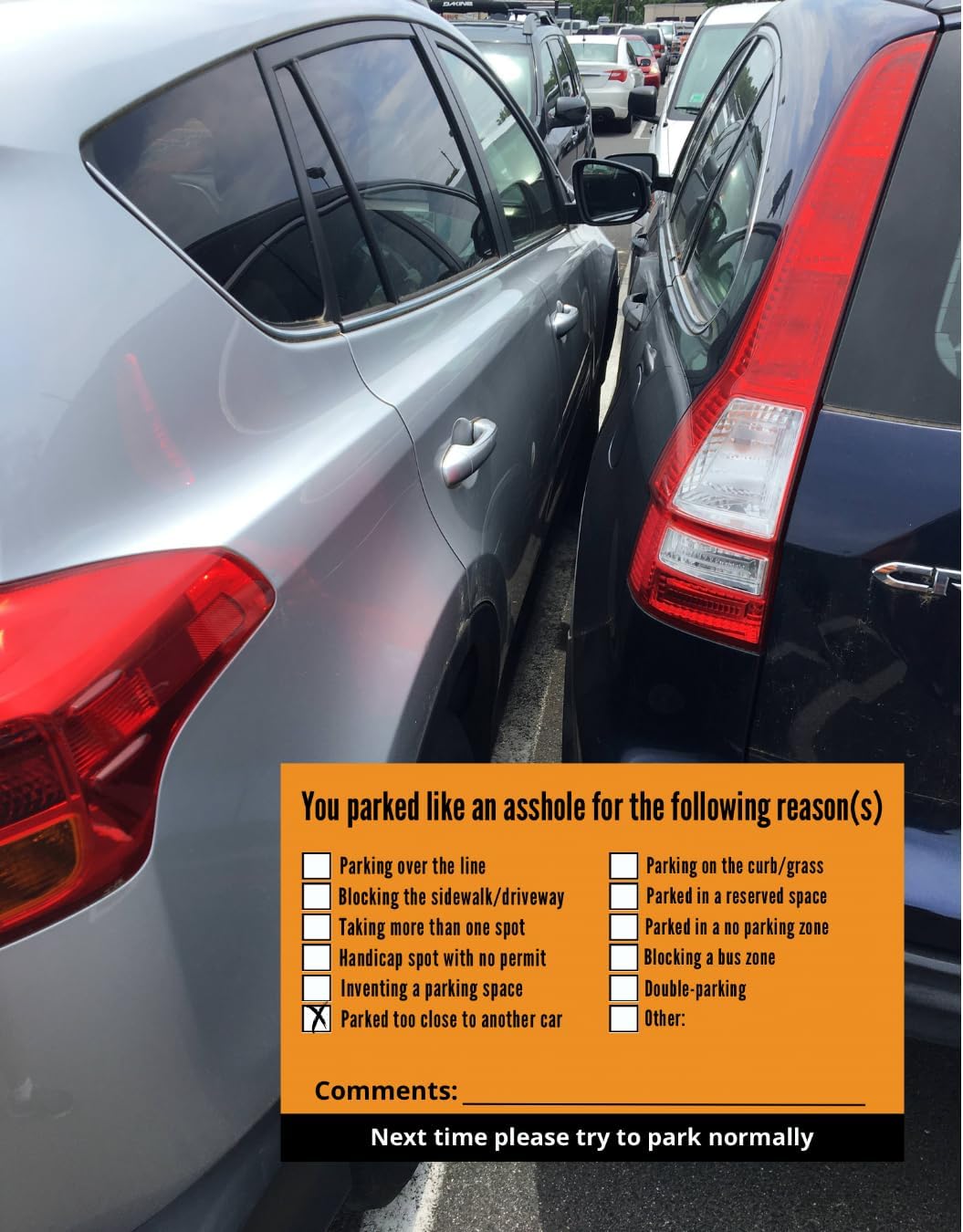 You Parked Like an Asshole (Pack of 100) Bad Parking Cards 3.5"x2" Multi Reasons Violation Stocking Stuffers for Adults/Prank Items/Double Sided (Parked like an idiot)
